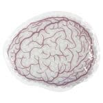 Brain Hot/Cold Pack - 7